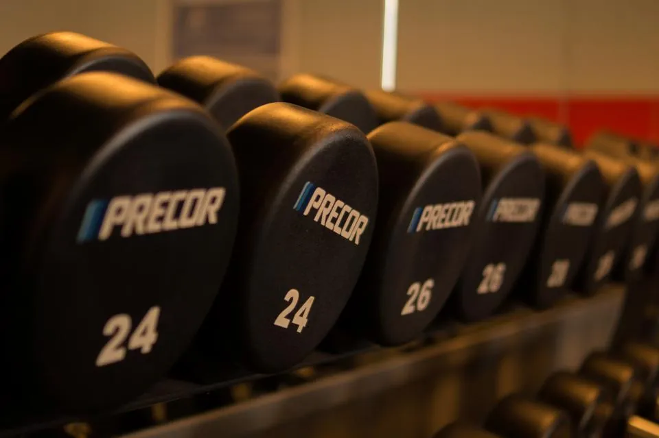 Rows of dumbbells on a rack